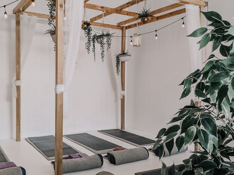 Spacious yoga studio with minimal wooden design and plants
